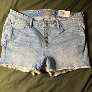 NWT Torrid 3.5in Mid Rise Shorts